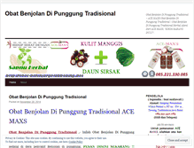 Tablet Screenshot of obatbenjolandipunggungtradisionalherbalalami27.wordpress.com