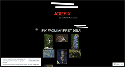 Desktop Screenshot of joepix.wordpress.com