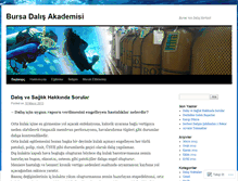 Tablet Screenshot of bursadalis.wordpress.com