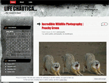 Tablet Screenshot of lifechaotica.wordpress.com