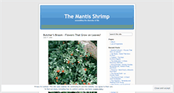 Desktop Screenshot of mantisshrimp.wordpress.com