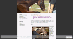 Desktop Screenshot of horsemassagepro.wordpress.com
