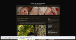 Desktop Screenshot of lindsayhorvathphotography.wordpress.com