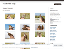Tablet Screenshot of paultibu.wordpress.com