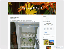 Tablet Screenshot of flawlessatsight.wordpress.com