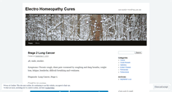 Desktop Screenshot of electrohomeopathycures.wordpress.com