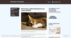 Desktop Screenshot of moustachesetcoussinets.wordpress.com