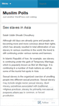 Mobile Screenshot of muslimpolls.wordpress.com