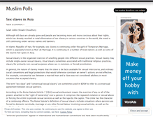 Tablet Screenshot of muslimpolls.wordpress.com