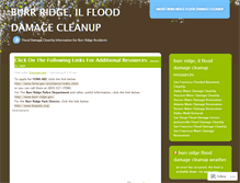 Tablet Screenshot of burrridgeflooddamagecleanupburrridgeil.wordpress.com