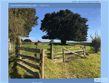 Tablet Screenshot of chinchillabluephotography.wordpress.com