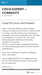 Mobile Screenshot of ciscoexpert.wordpress.com