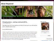 Tablet Screenshot of brianheywood.wordpress.com