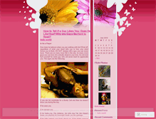 Tablet Screenshot of luvchemistry.wordpress.com