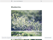 Tablet Screenshot of felixphotography.wordpress.com