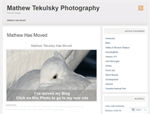 Tablet Screenshot of mathewtekulskyphotography.wordpress.com