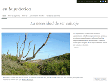 Tablet Screenshot of enlapractica.wordpress.com