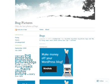 Tablet Screenshot of bugpictures.wordpress.com