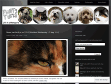 Tablet Screenshot of fluffytufts.wordpress.com