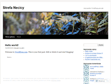 Tablet Screenshot of necica.wordpress.com