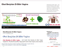 Tablet Screenshot of obatbenjolandibibirvaginatradisionalherbalalami29.wordpress.com