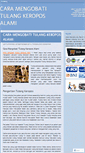 Mobile Screenshot of caramengobatitulangkeroposalami.wordpress.com