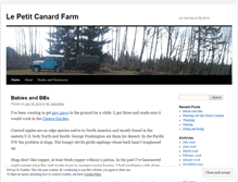 Tablet Screenshot of lepetitcanardfarm.wordpress.com