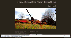 Desktop Screenshot of ferretbiz.wordpress.com