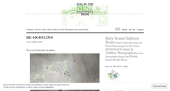 Desktop Screenshot of egginthenest.wordpress.com