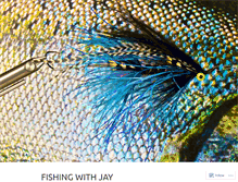 Tablet Screenshot of fishingwithjay.wordpress.com