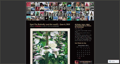 Desktop Screenshot of 365iphotos.wordpress.com