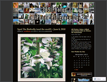 Tablet Screenshot of 365iphotos.wordpress.com