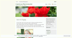 Desktop Screenshot of carnivalephotography.wordpress.com
