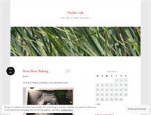 Tablet Screenshot of fischerwoman.wordpress.com