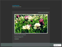 Tablet Screenshot of maddieness.wordpress.com