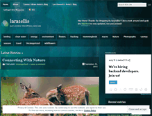 Tablet Screenshot of lara1ellis.wordpress.com