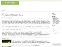 Tablet Screenshot of mypuppyproject.wordpress.com