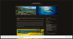 Desktop Screenshot of epicunderwater.wordpress.com