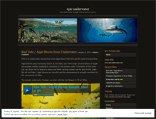 Tablet Screenshot of epicunderwater.wordpress.com