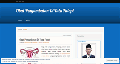 Desktop Screenshot of obatpenyumbatanditubafalopi.wordpress.com