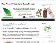 Tablet Screenshot of obatamandel92.wordpress.com