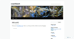 Desktop Screenshot of coachleach.wordpress.com