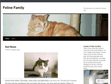 Tablet Screenshot of felinefamily.wordpress.com