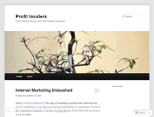 Tablet Screenshot of profitinsiders2.wordpress.com
