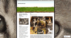 Desktop Screenshot of nancyeclark.wordpress.com