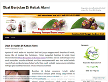 Tablet Screenshot of obatbenjolandiketiakalami404.wordpress.com