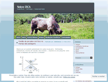 Tablet Screenshot of neloreirca.wordpress.com