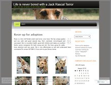 Tablet Screenshot of mywhitepaw.wordpress.com