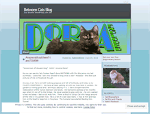 Tablet Screenshot of betweencatsblog.wordpress.com