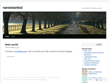 Tablet Screenshot of narsistanbul.wordpress.com